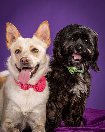 Henry and Maggie-1222