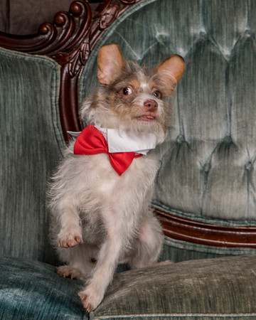 Foster Reagan-4883