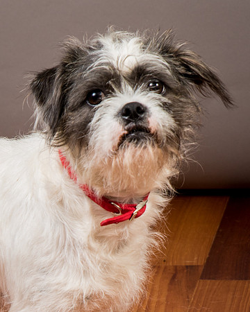 Foster Leeza-2862
