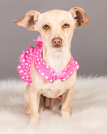 Foster Sigourney-9519