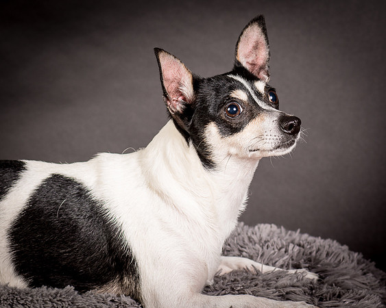 Foster Richa-0500