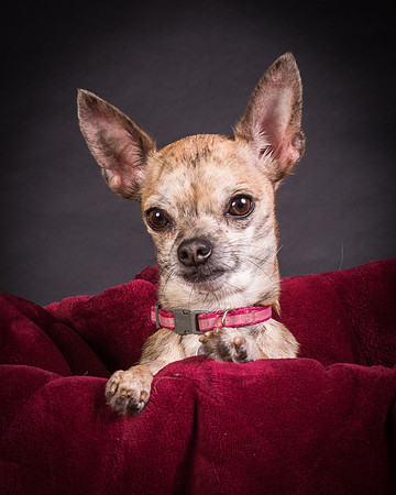 Foster Selina-1136