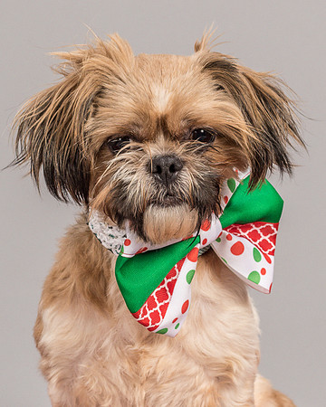Foster Toffee-4632