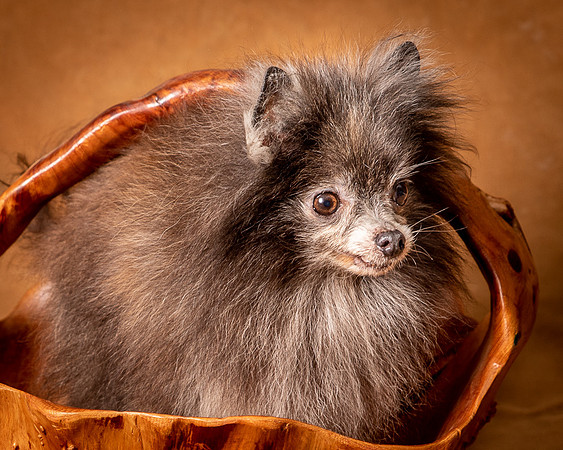 Foster Loretta-1329
