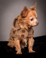 Foster Pancho-9459