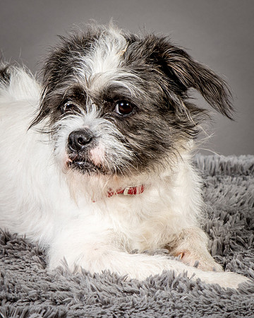 Foster Leeza-2629