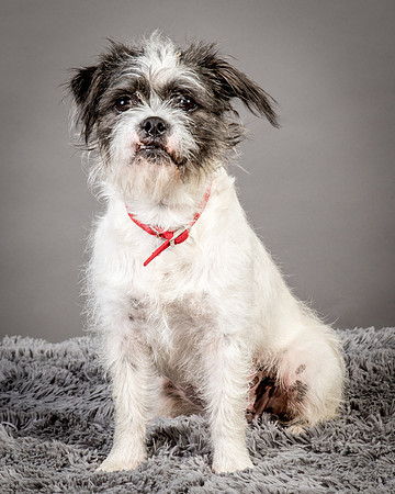 Foster Leeza-2664