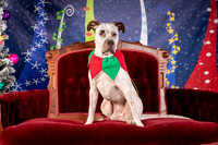 Foster Sylvester-0936