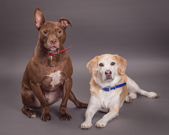 Red and Max Griner-7623