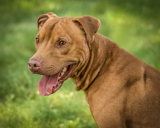 Foster Pablo-7945