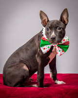 Foster Seymour-3671