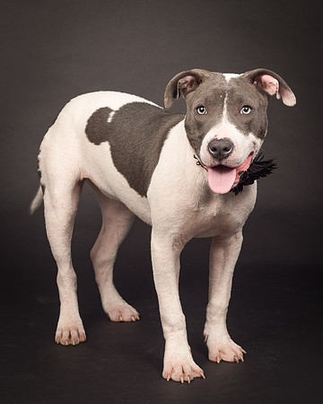 Foster Gretel-1336