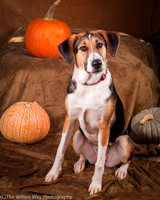 Molly-4465