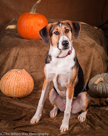 Molly-4465