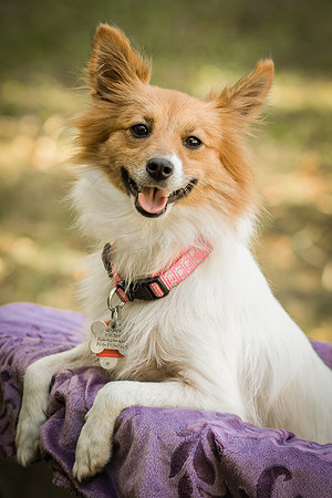 Foster Brandi-3207