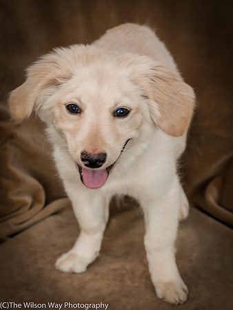 Foster Stephanie-9610