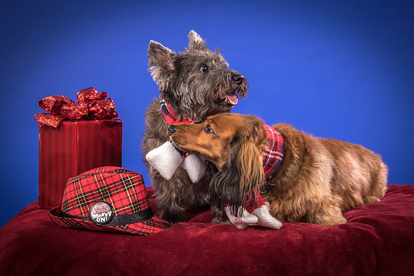 Sauls-Brodie and Baxter-5529