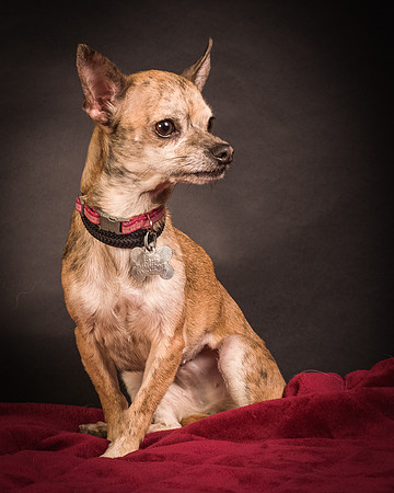 Foster Selina-1094