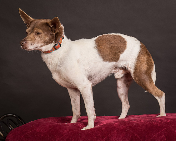 Foster Gus-0401
