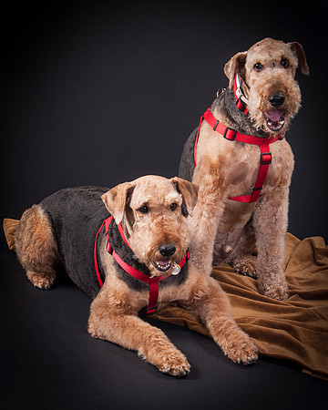 Martha May & Smitty-5188