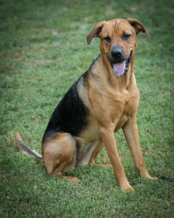 Foster Maya-0418