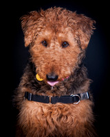 Dixie Lou-5637