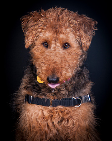 Dixie Lou-5637