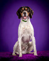 Foster Goofy-0934