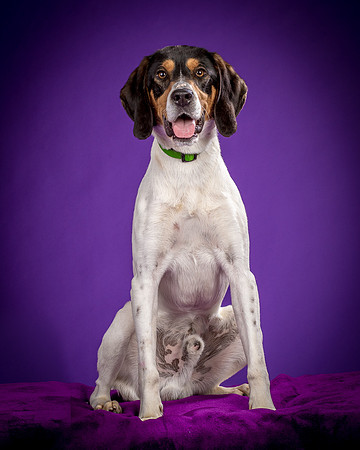 Foster Goofy-0934