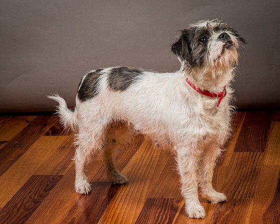 Foster Leeza-2822