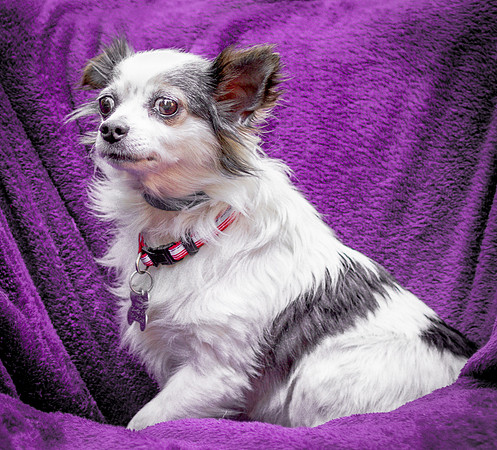 Foster Anouk-8815
