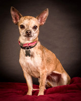 Foster Selina-1075