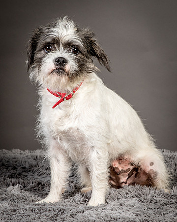 Foster Leeza-2654