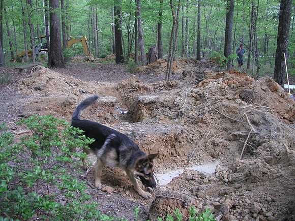 Septic Tank-1010072-2