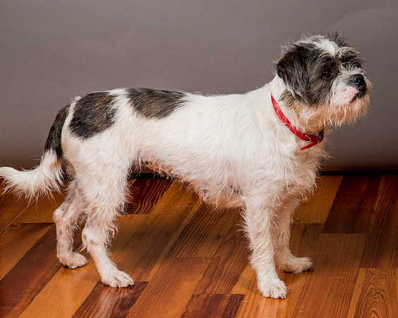 Foster Leeza-2877