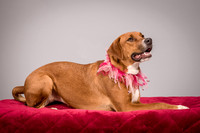 Foster Holley-4117