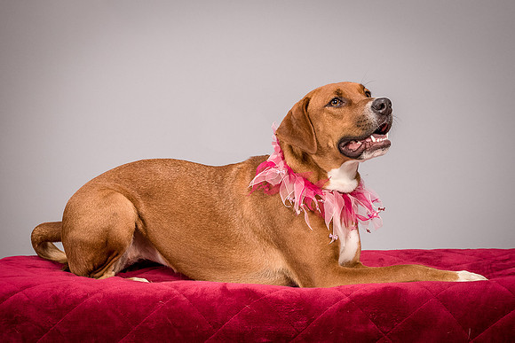 Foster Holley-4117