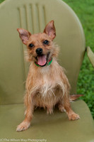 Foster Harry-3632