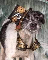 Foster Billie-8138