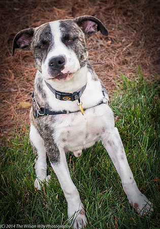Foster Louie-9682