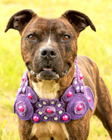 Darlington - Chloe-8651