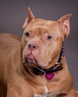 Maggie Griner-7484