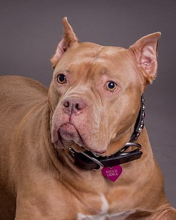 Maggie Griner-7484