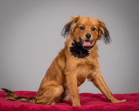Foster Elyse-3821