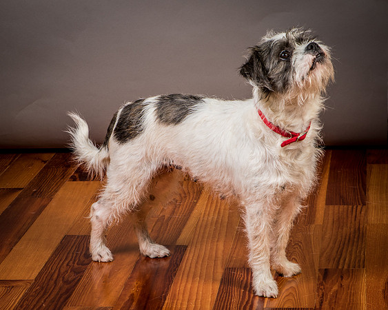 Foster Leeza-2810
