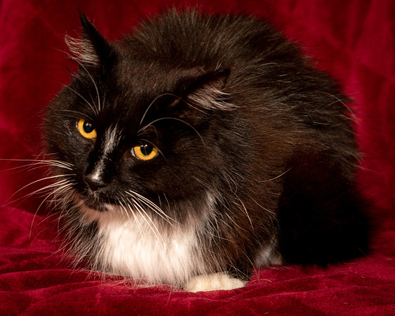 Foster Hershey-9489