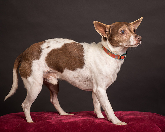 Foster Gus-0354