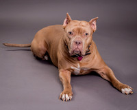 Maggie Griner-7493