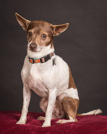 Foster Gus-0344