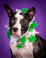 Foster Claire-4215